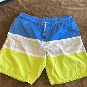 Blue and Green Men's Swim Shorts